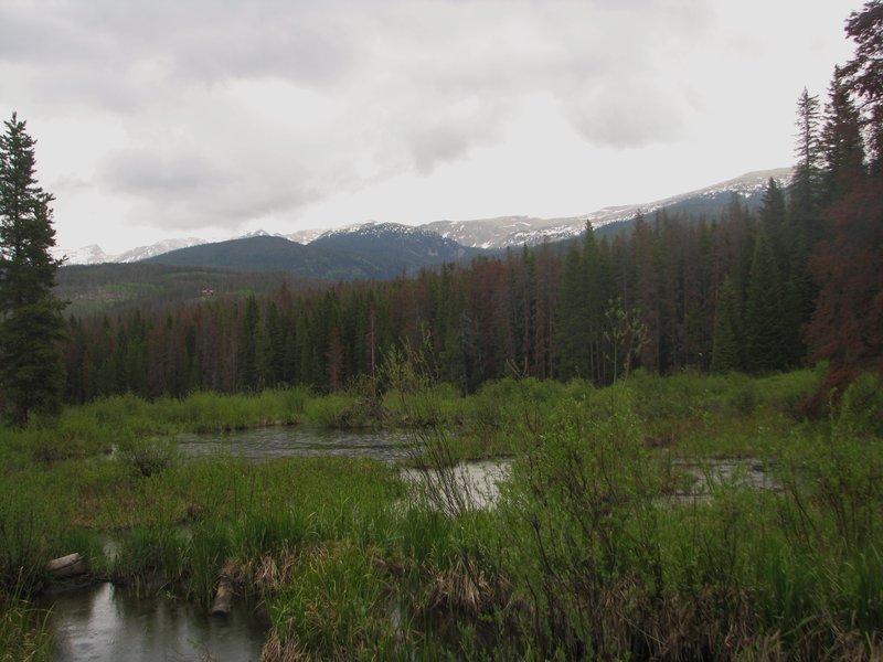 South Fork Loop June 20.JPG