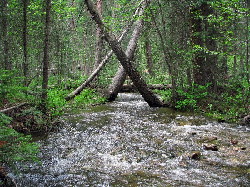 A Hardy South Fork Creek 