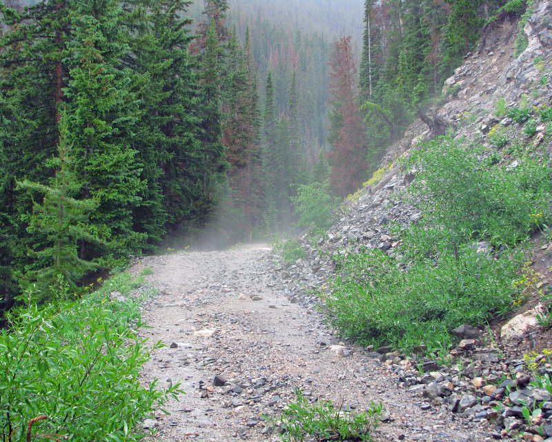 Misty Byers Peak Road.jpg