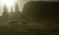 20140330-vacation_az-0193a
