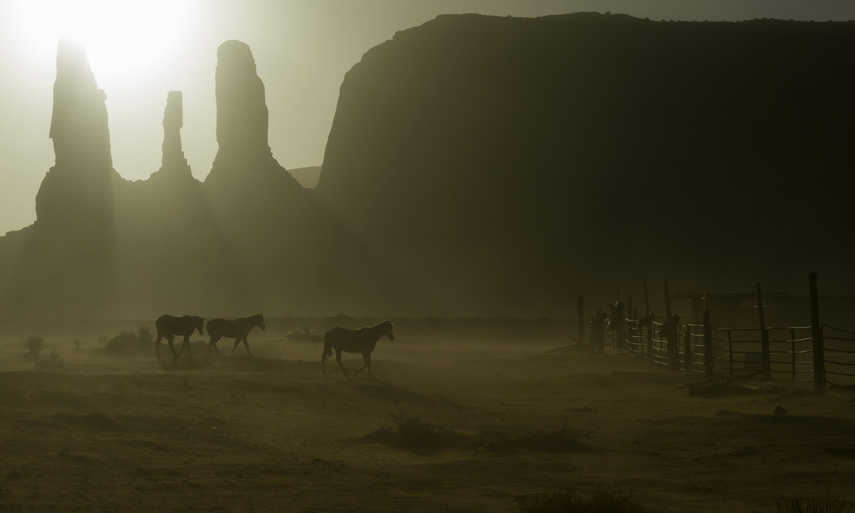 20140330-vacation_az-0193a