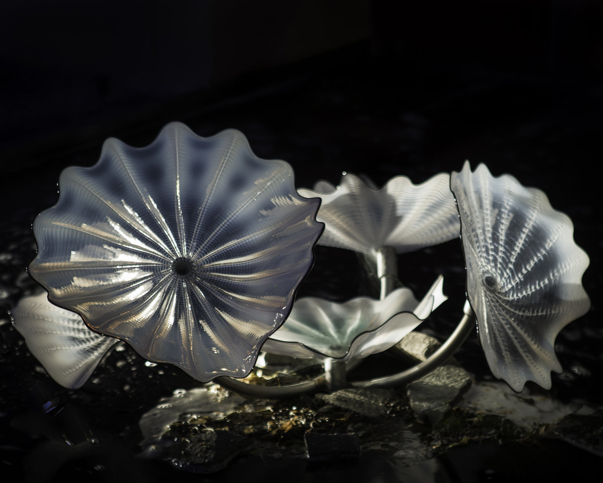 20140808-chihuly-001