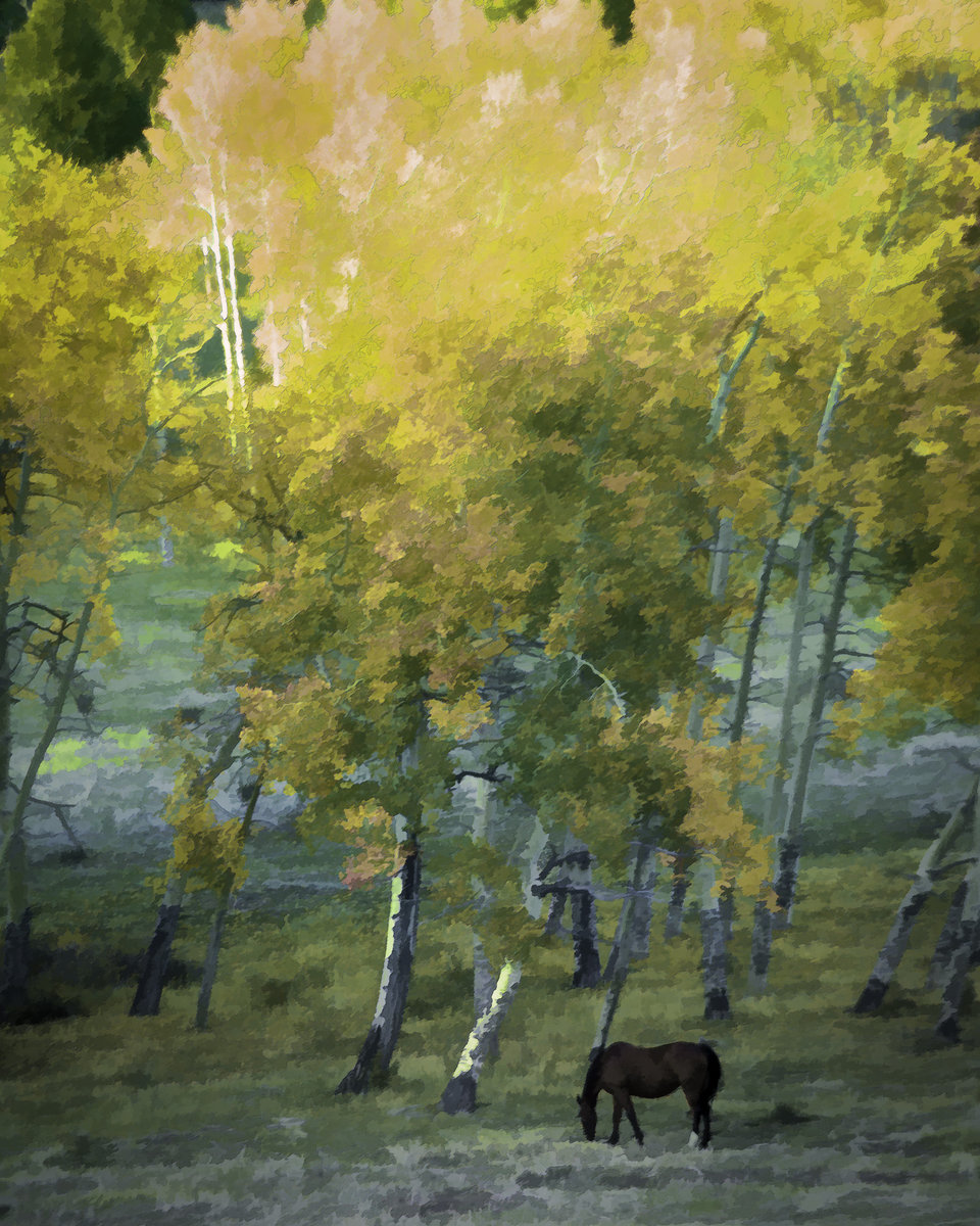 20140926-horses_autumn-002