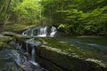Gradual Steps