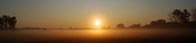 Mist Sunrise