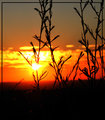 sunset20