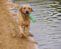 Drinking Problem