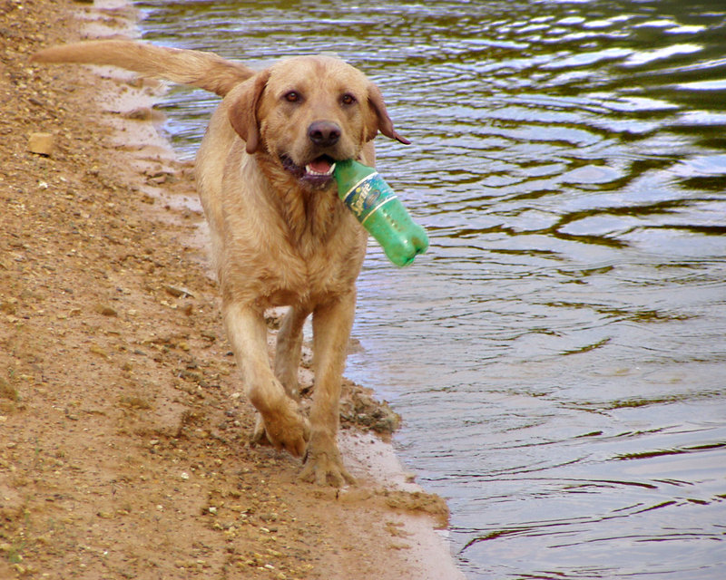 Drinking Problem