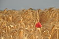 standing alone