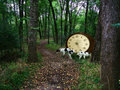 time