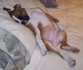 This is my side of the bed!