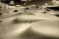 Coral Pink Sand Dunes