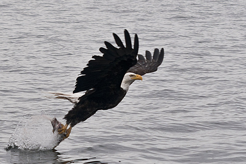 20100806_0009