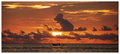 Sunset 2 