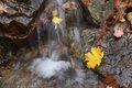 IMG_0383a.jpg