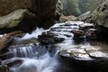 IMG_0603a.jpg