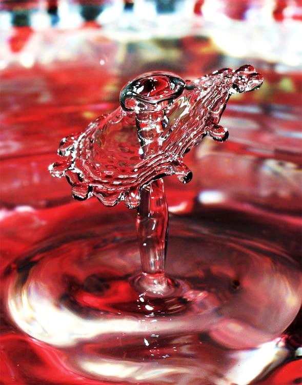red water drop.jpg
