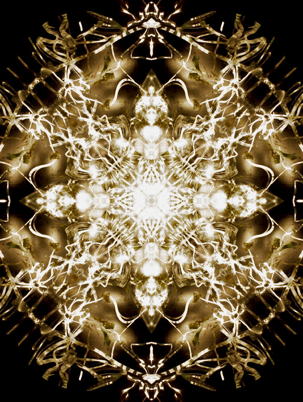 Snowflake from another planet