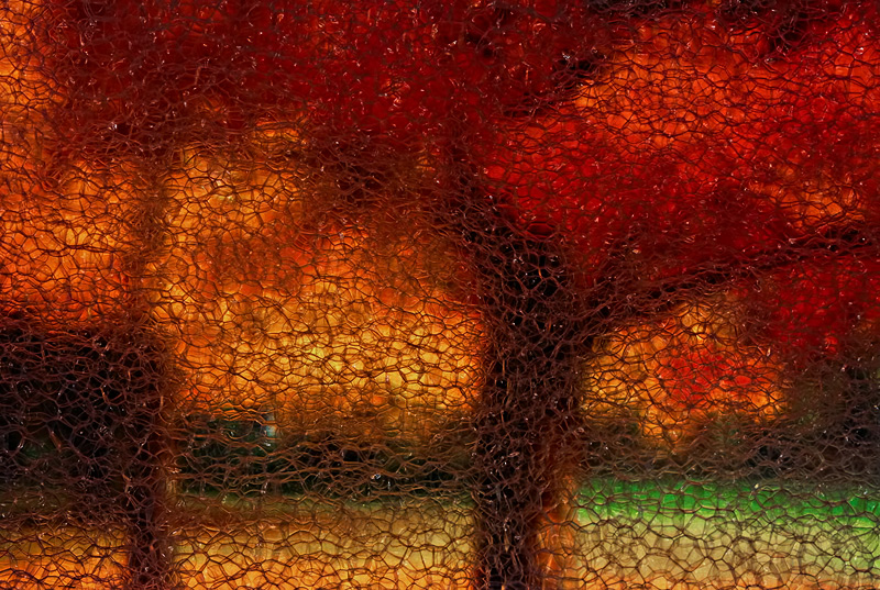 IMG_6665-Fall