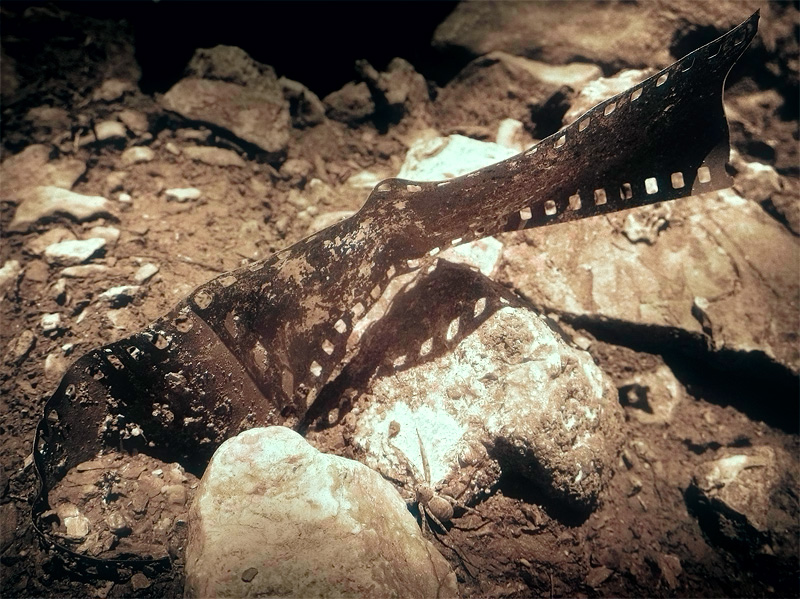 spider and film-Restyled