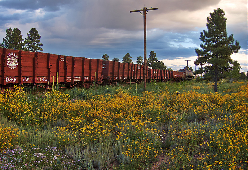 Cumbres-Toltec-Trip---IMG_3646_1