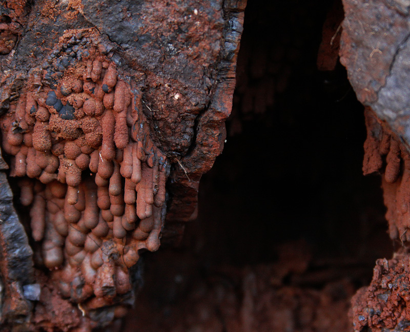 Goethite