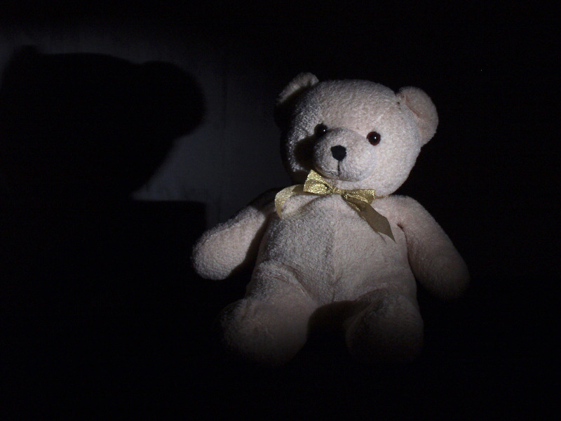 Teddy.jpg