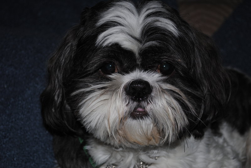 dec 5 2009 004.jpg