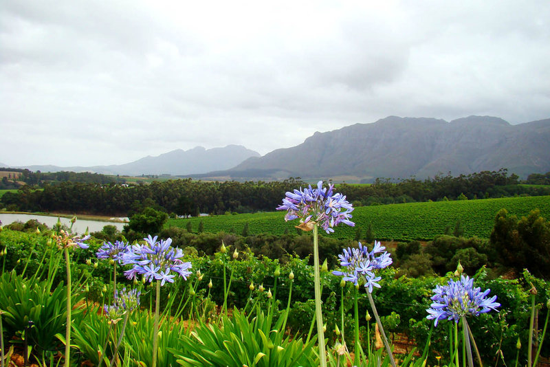 Beautiful landscape2