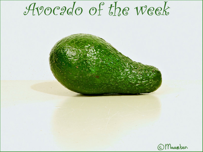 avocado of the week2