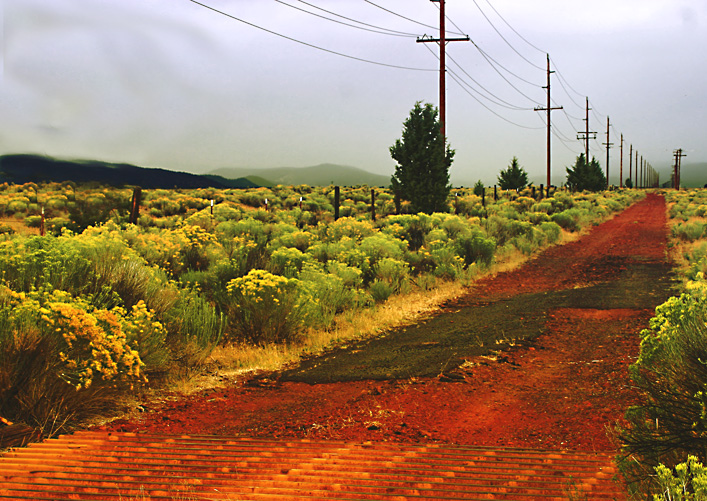 scafalises back road1.jpg