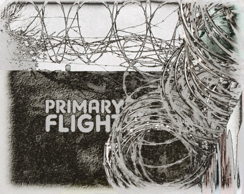 primary flight.jpg