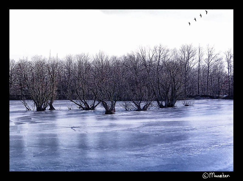 Lake of Doom 1