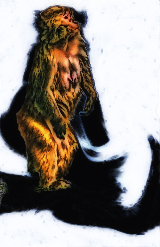 monkey PP.jpg