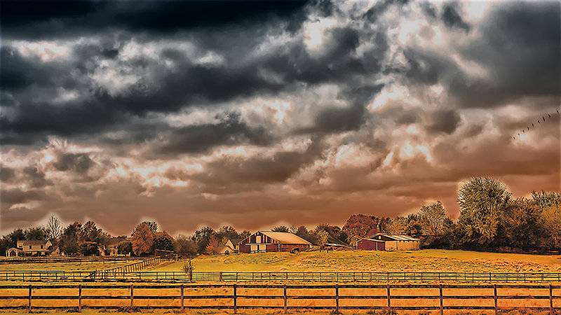 landscape pp.jpg