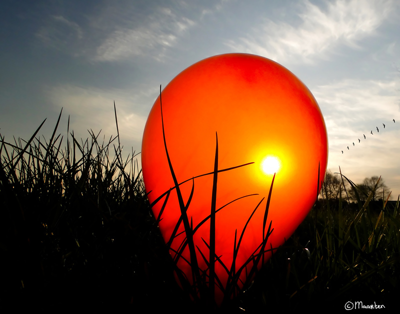 Lonely balloon