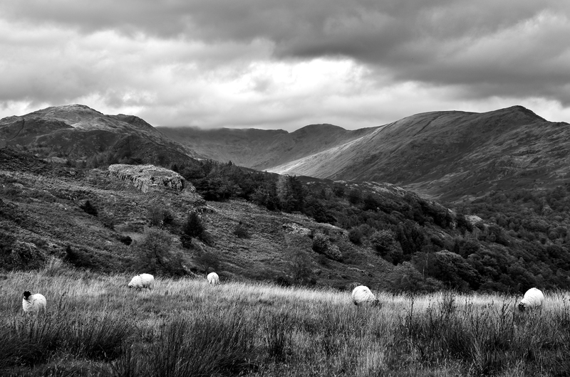 Loughrigg Fell