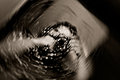 Through-the-looking-glass-2