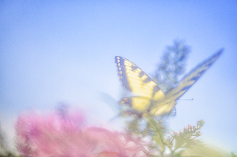 IMG_0436-Edit-Edit