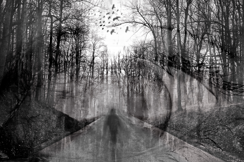 Never Alone