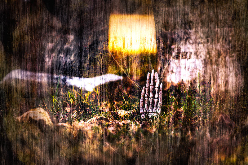Remains of the Day