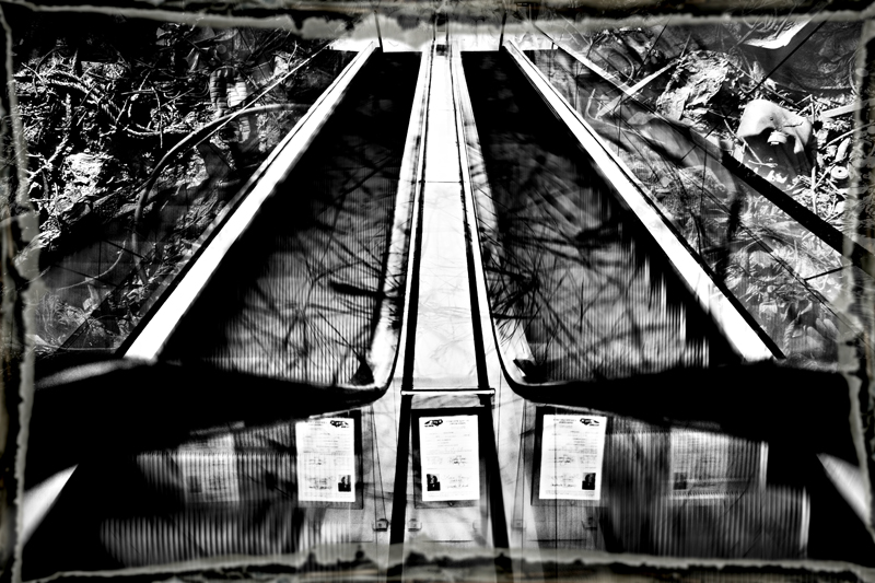 going-up