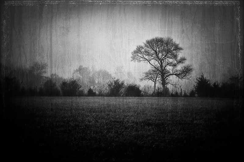 BW-Fog