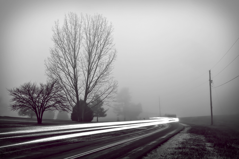 B&W-fog-with-tail-lights