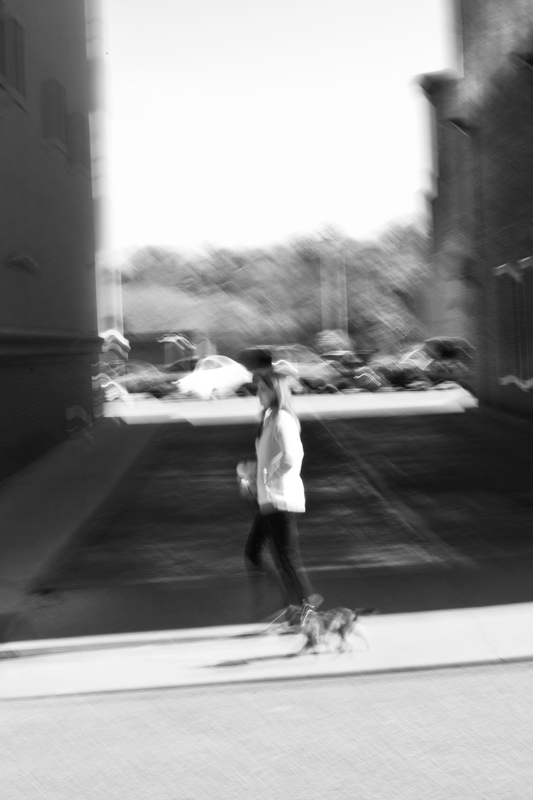 Walk the Dog