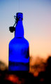 Blue Bottle at Sunset