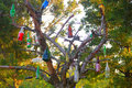 Bottle Tree