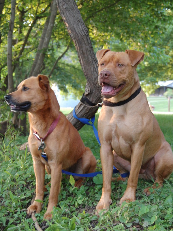 Todd and Rex