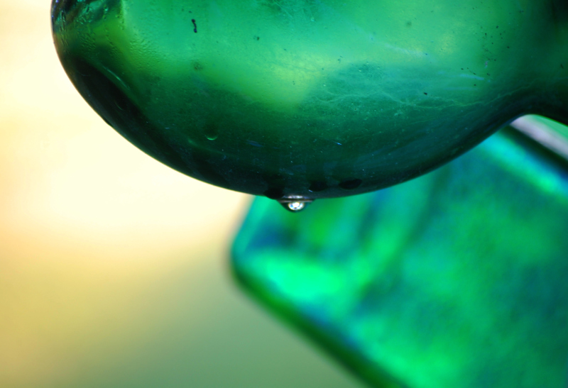 Dew in the Morning