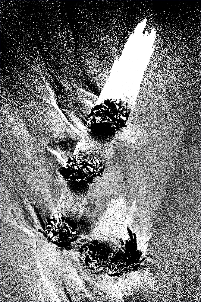 1c